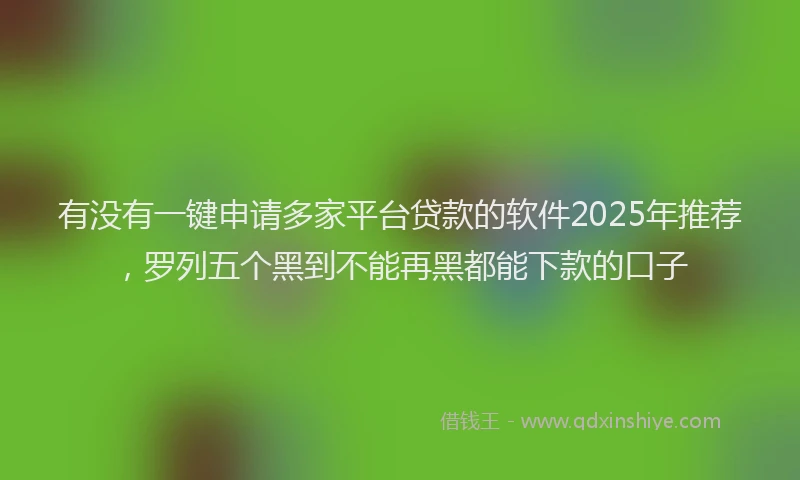 有没有一键申请多家平台贷款的软件2025年推荐，罗列五个黑到不能再黑都能下款的口子