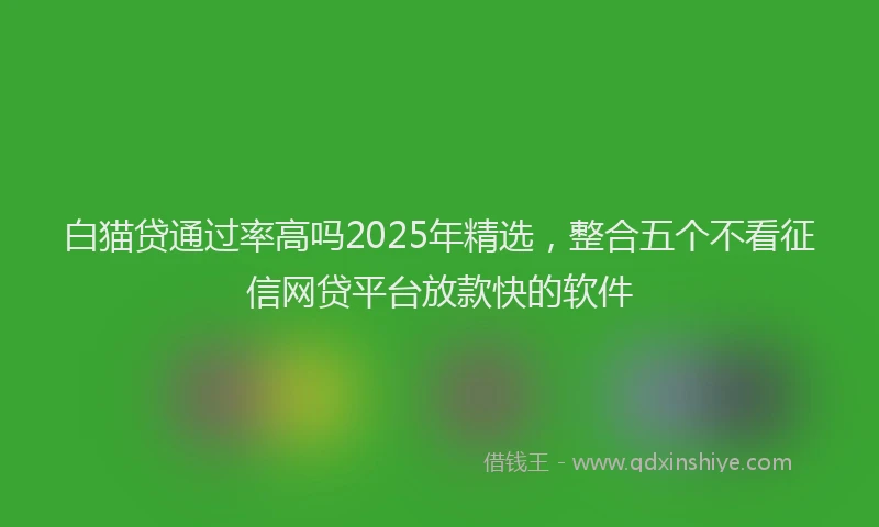 白猫贷通过率高吗2025年精选，整合五个不看征信网贷平台放款快的软件