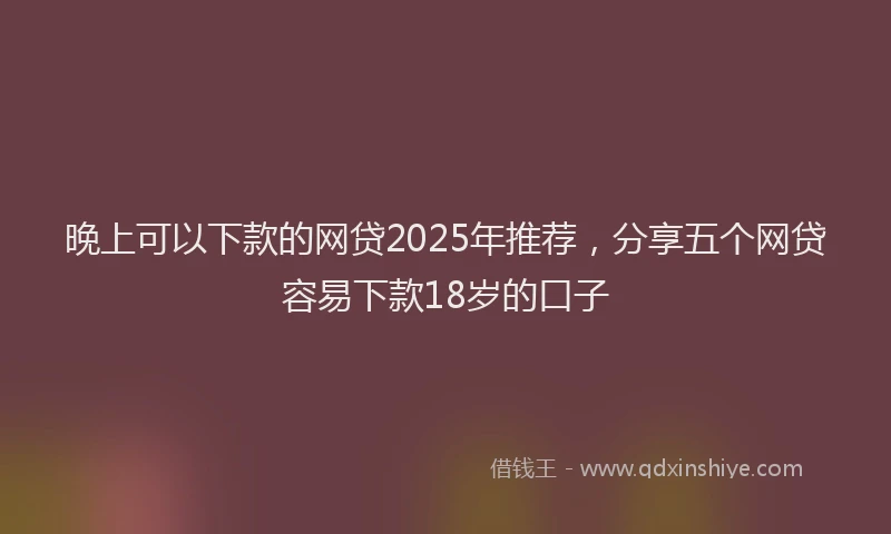 晚上可以下款的网贷2025年推荐，分享五个网贷容易下款18岁的口子