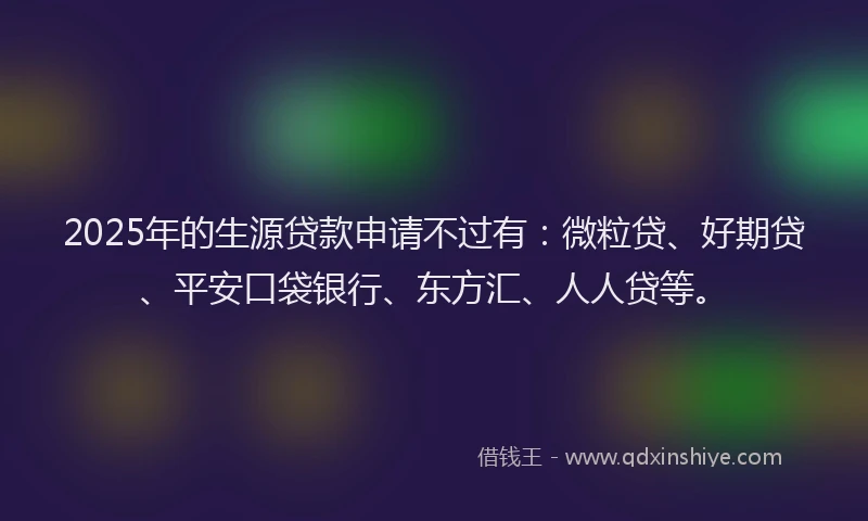2025年的生源贷款申请不过有：微粒贷、好期贷、平安口袋银行、东方汇、人人贷等。
