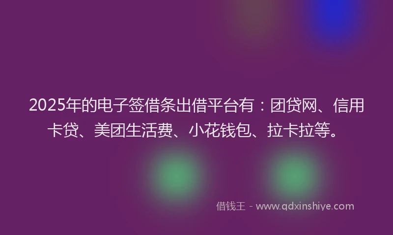 2025年的电子签借条出借平台有：团贷网、信用卡贷、美团生活费、小花钱包、拉卡拉等。