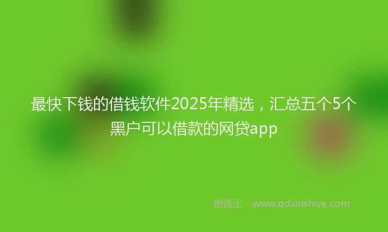 最快下钱的借钱软件2025年精选，汇总五个5个黑户可以借款的网贷app