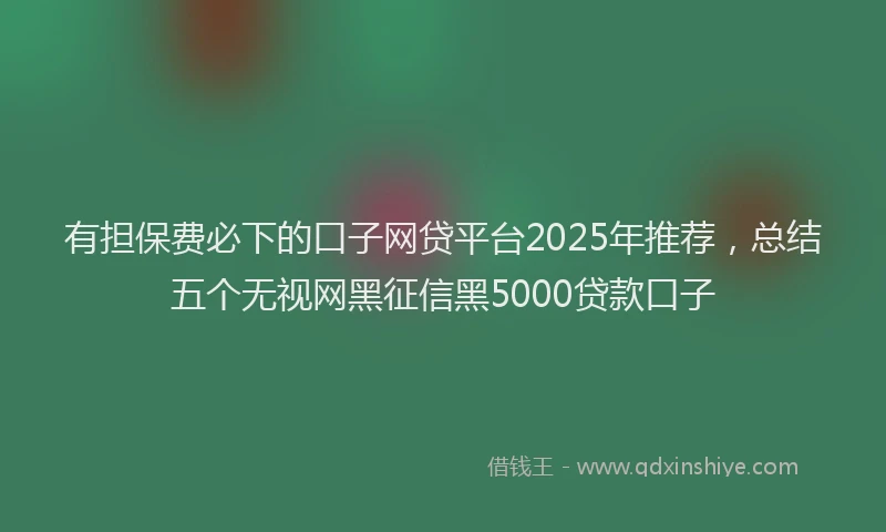 有担保费必下的口子网贷平台2025年推荐，总结五个无视网黑征信黑5000贷款口子