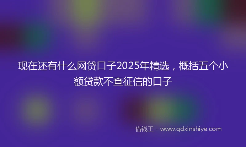 现在还有什么网贷口子2025年精选，概括五个小额贷款不查征信的口子