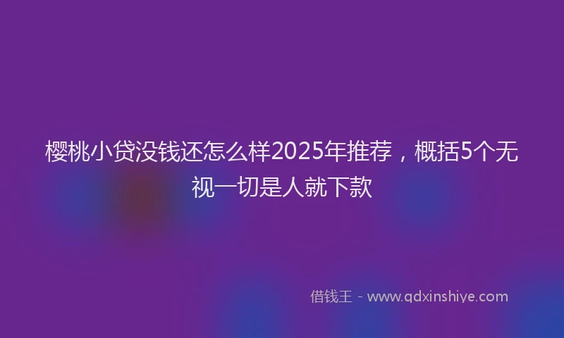樱桃小贷没钱还怎么样2025年推荐，概括5个无视一切是人就下款