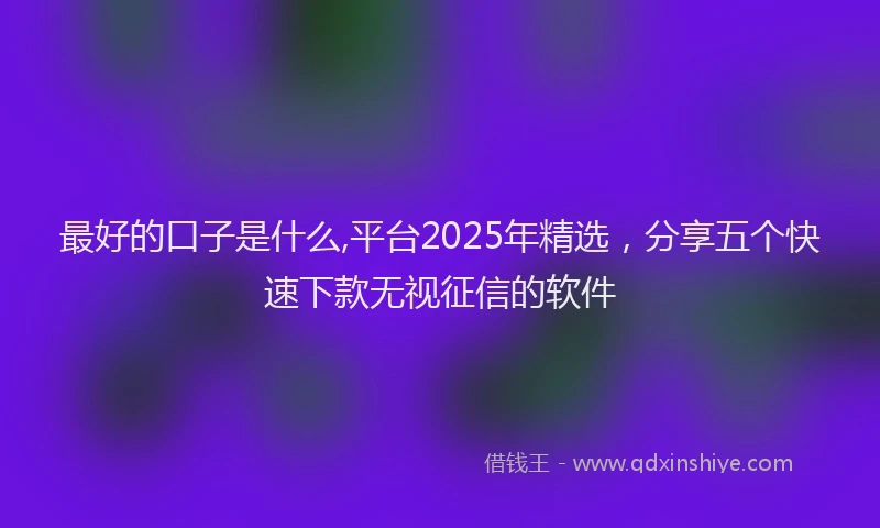最好的口子是什么,平台2025年精选，分享五个快速下款无视征信的软件