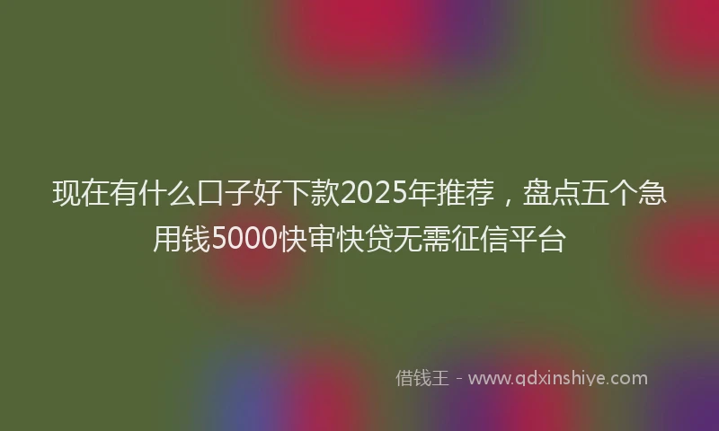 现在有什么口子好下款2025年推荐，盘点五个急用钱5000快审快贷无需征信平台
