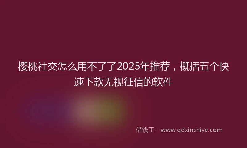 樱桃社交怎么用不了了2025年推荐，概括五个快速下款无视征信的软件