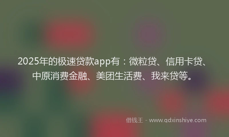 2025年的极速贷款app有：微粒贷、信用卡贷、中原消费金融、美团生活费、我来贷等。