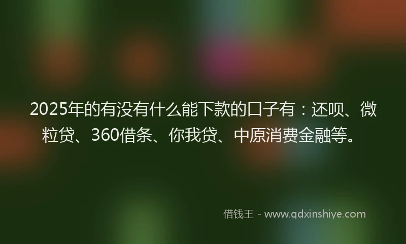 2025年的有没有什么能下款的口子有：还呗、微粒贷、360借条、你我贷、中原消费金融等。
