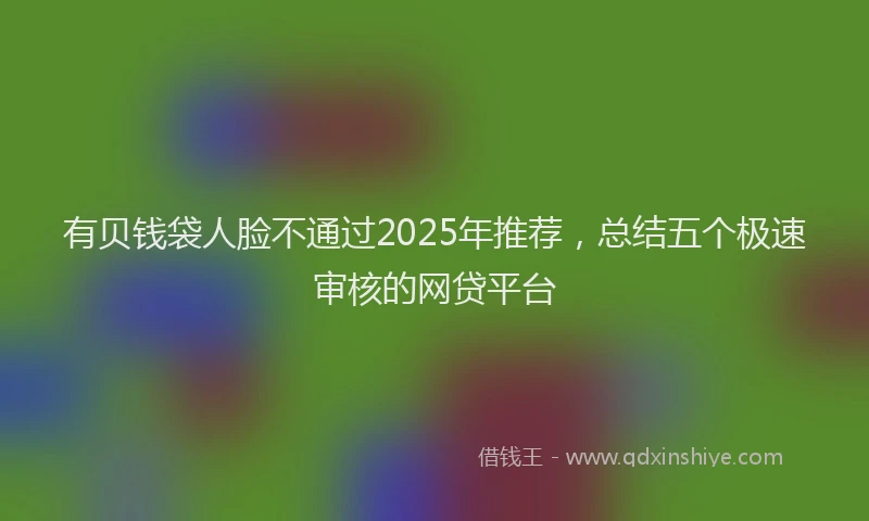 有贝钱袋人脸不通过2025年推荐，总结五个极速审核的网贷平台