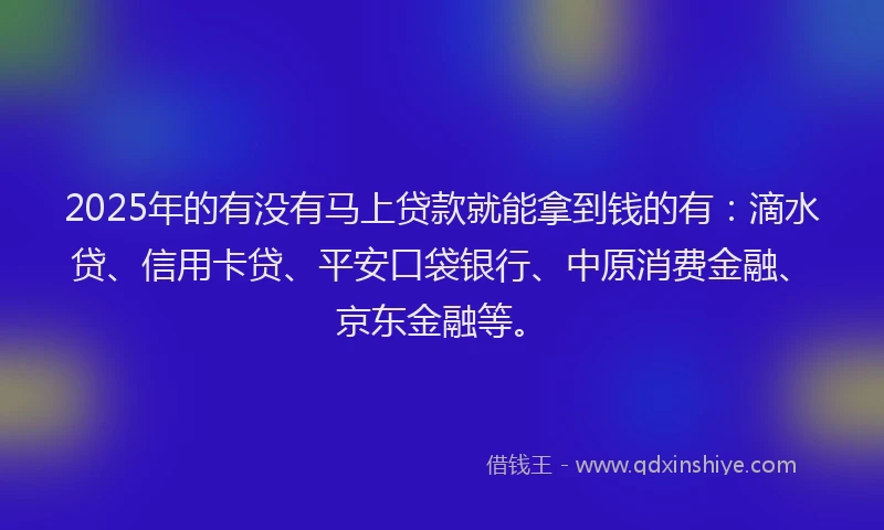 2025年的有没有马上贷款就能拿到钱的有：滴水贷、信用卡贷、平安口袋银行、中原消费金融、京东金融等。