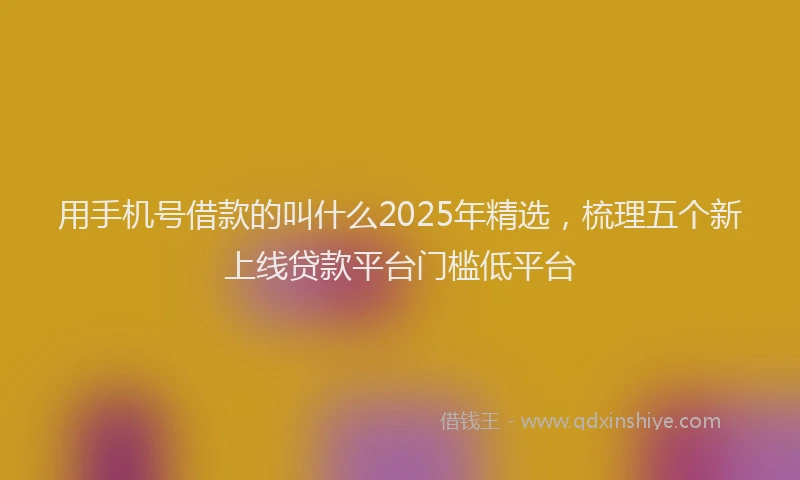 用手机号借款的叫什么2025年精选，梳理五个新上线贷款平台门槛低平台
