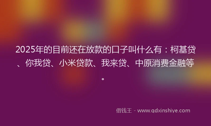 2025年的目前还在放款的口子叫什么有：柯基贷、你我贷、小米贷款、我来贷、中原消费金融等。