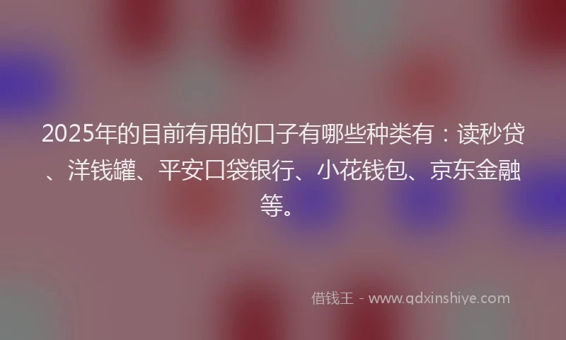2025年的目前有用的口子有哪些种类有：读秒贷、洋钱罐、平安口袋银行、小花钱包、京东金融等。