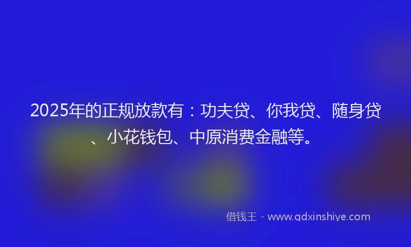 2025年的正规放款有：功夫贷、你我贷、随身贷、小花钱包、中原消费金融等。