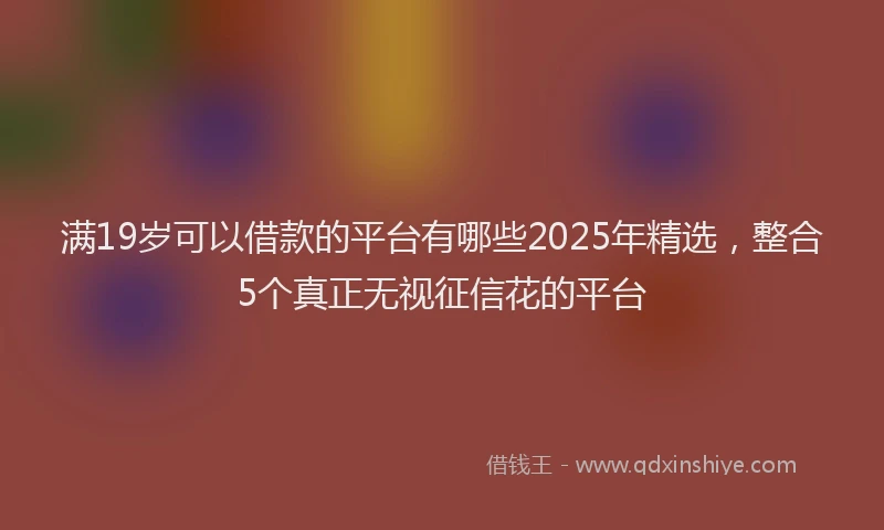 满19岁可以借款的平台有哪些2025年精选，整合5个真正无视征信花的平台