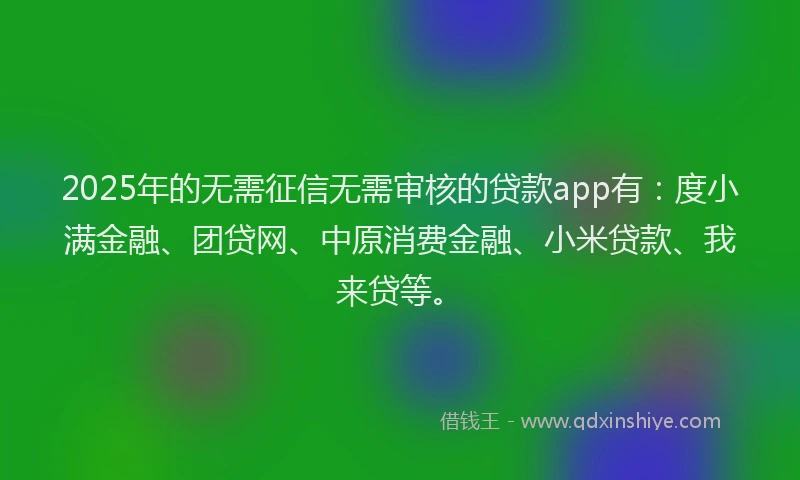 2025年的无需征信无需审核的贷款app有：度小满金融、团贷网、中原消费金融、小米贷款、我来贷等。
