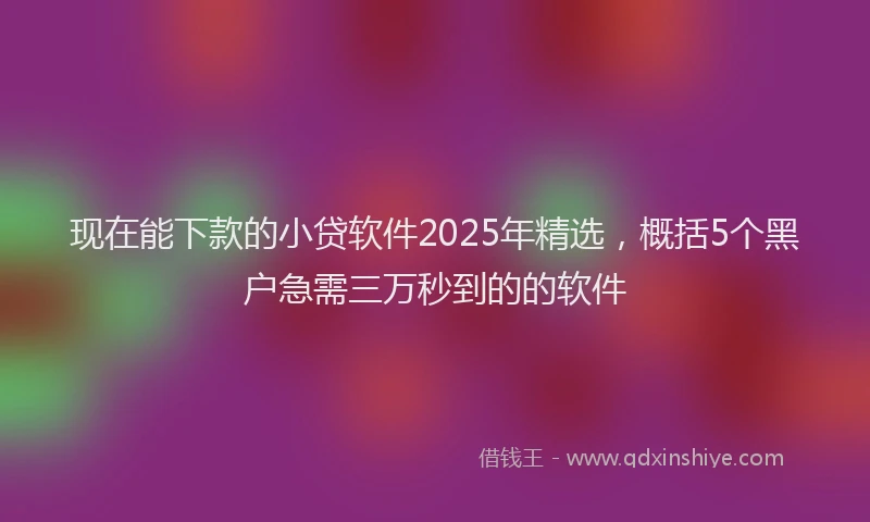 现在能下款的小贷软件2025年精选，概括5个黑户急需三万秒到的的软件