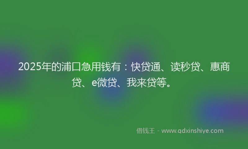 2025年的浦口急用钱有：快贷通、读秒贷、惠商贷、e微贷、我来贷等。