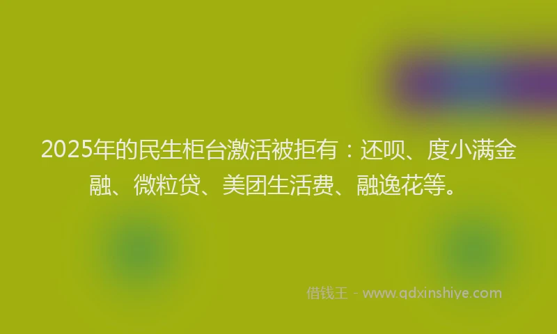 2025年的民生柜台激活被拒有：还呗、度小满金融、微粒贷、美团生活费、融逸花等。