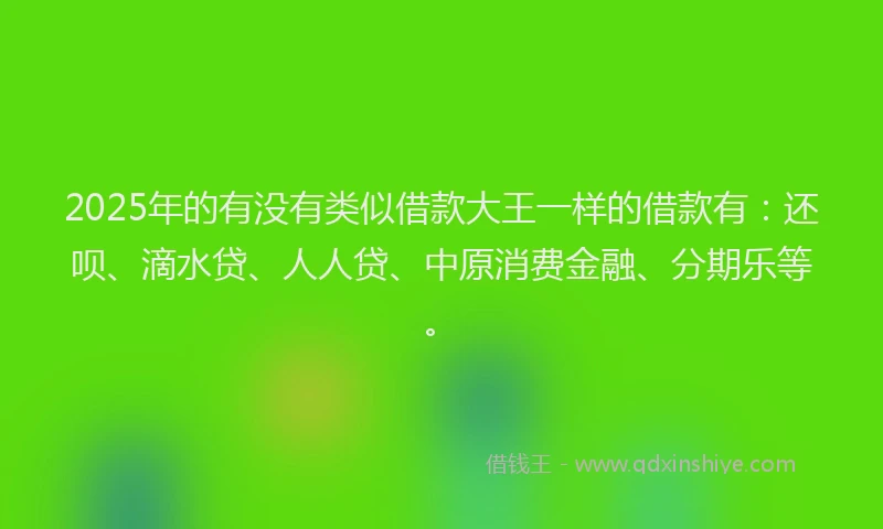 2025年的有没有类似借款大王一样的借款有：还呗、滴水贷、人人贷、中原消费金融、分期乐等。