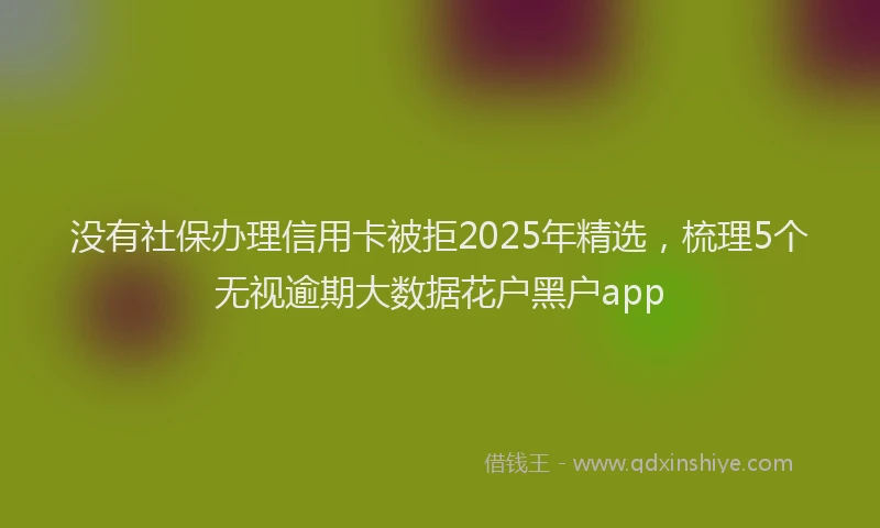 没有社保办理信用卡被拒2025年精选，梳理5个无视逾期大数据花户黑户app