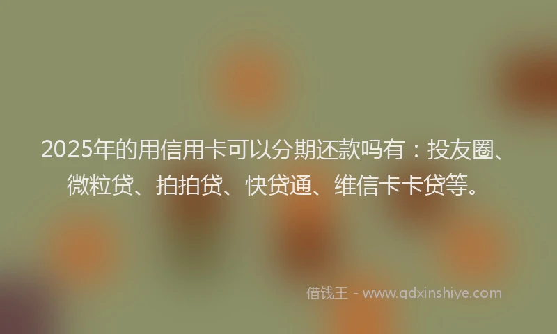2025年的用信用卡可以分期还款吗有：投友圈、微粒贷、拍拍贷、快贷通、维信卡卡贷等。
