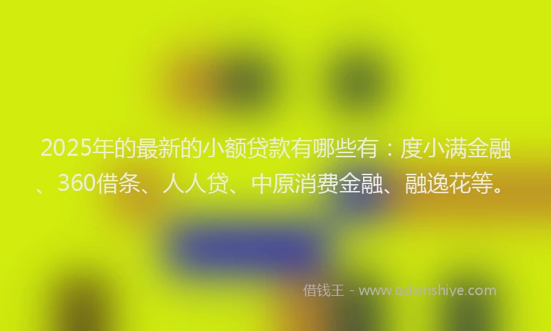 2025年的最新的小额贷款有哪些有：度小满金融、360借条、人人贷、中原消费金融、融逸花等。