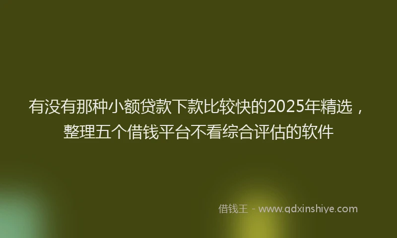 有没有那种小额贷款下款比较快的2025年精选，整理五个借钱平台不看综合评估的软件