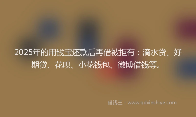2025年的用钱宝还款后再借被拒有：滴水贷、好期贷、花呗、小花钱包、微博借钱等。