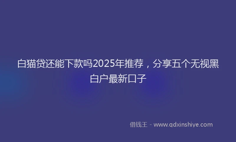 白猫贷还能下款吗2025年推荐，分享五个无视黑白户最新口子