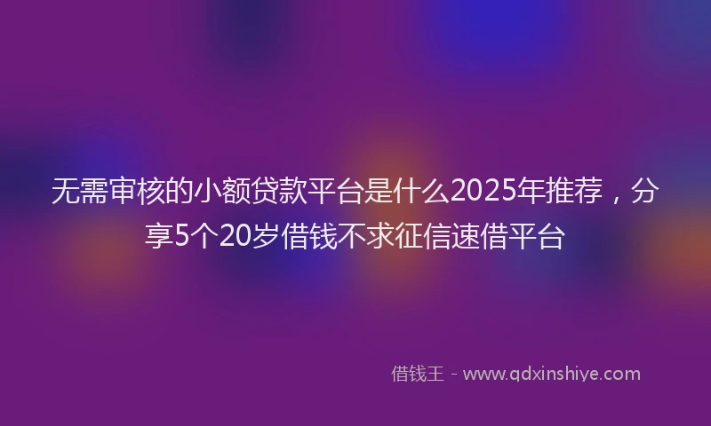 无需审核的小额贷款平台是什么2025年推荐，分享5个20岁借钱不求征信速借平台