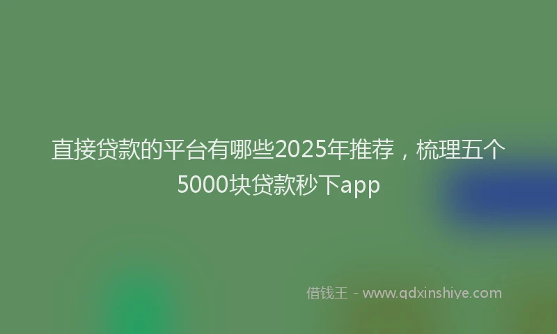 直接贷款的平台有哪些2025年推荐，梳理五个5000块贷款秒下app
