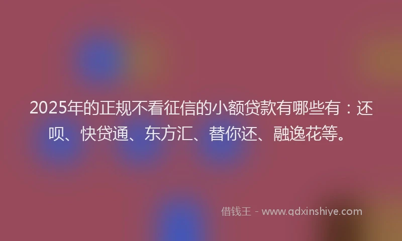 2025年的正规不看征信的小额贷款有哪些有：还呗、快贷通、东方汇、替你还、融逸花等。