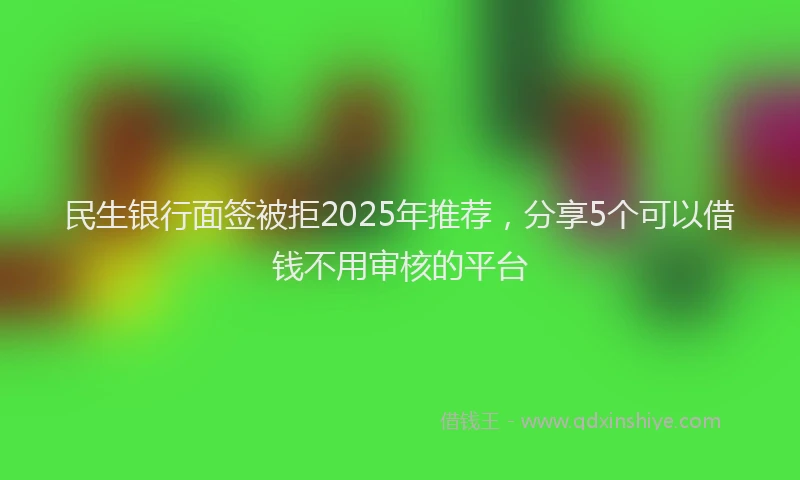 民生银行面签被拒2025年推荐，分享5个可以借钱不用审核的平台