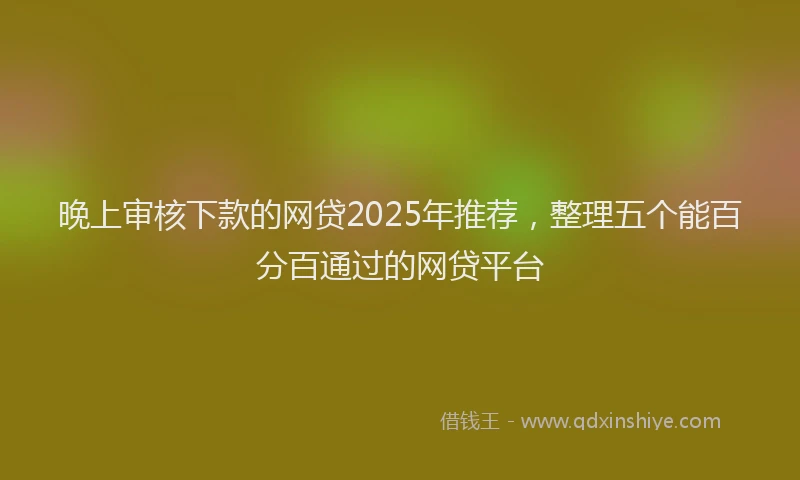 晚上审核下款的网贷2025年推荐，整理五个能百分百通过的网贷平台
