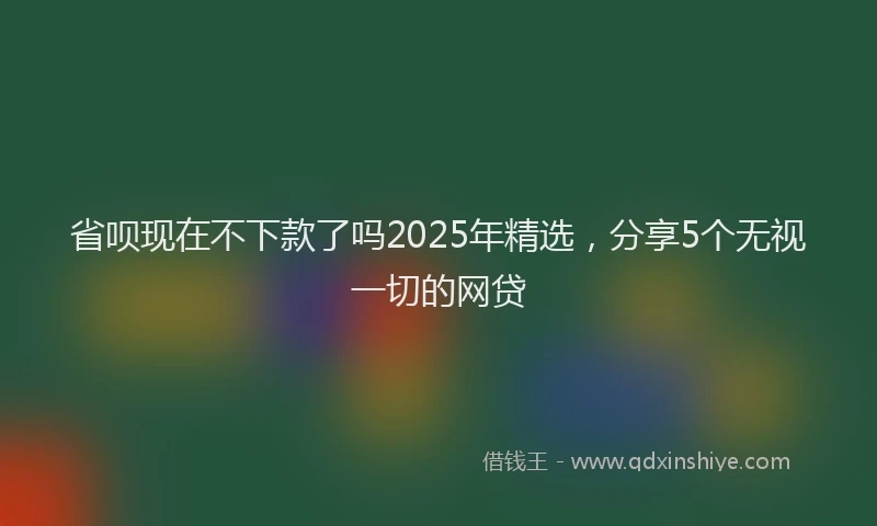 省呗现在不下款了吗2025年精选，分享5个无视一切的网贷