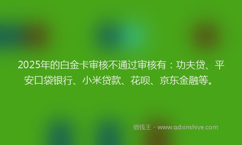 2025年的白金卡审核不通过审核有：功夫贷、平安口袋银行、小米贷款、花呗、京东金融等。