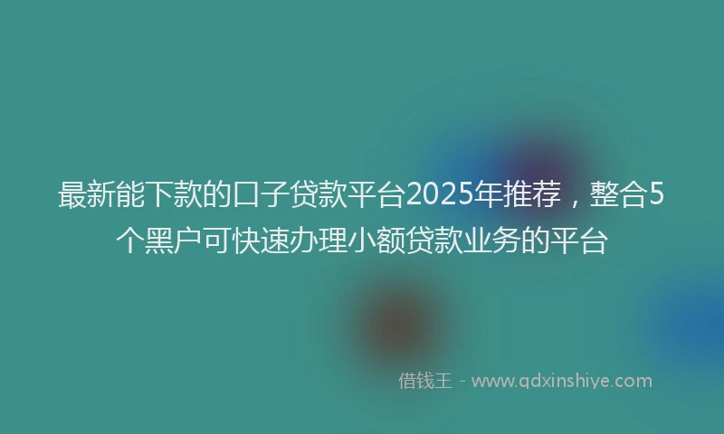 最新能下款的口子贷款平台2025年推荐，整合5个黑户可快速办理小额贷款业务的平台