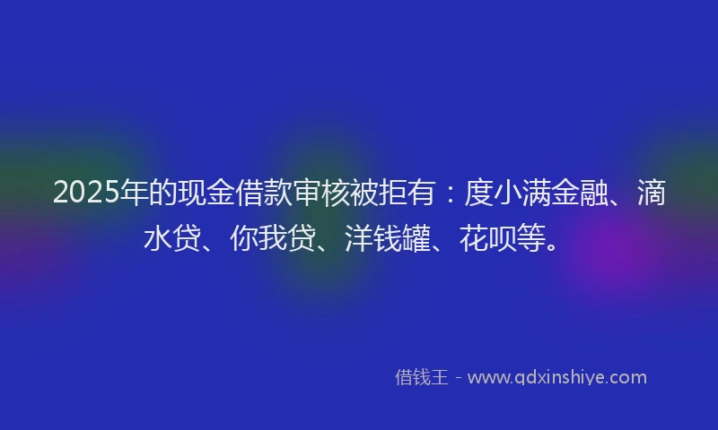 2025年的现金借款审核被拒有：度小满金融、滴水贷、你我贷、洋钱罐、花呗等。