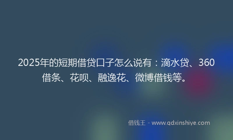 2025年的短期借贷口子怎么说有：滴水贷、360借条、花呗、融逸花、微博借钱等。