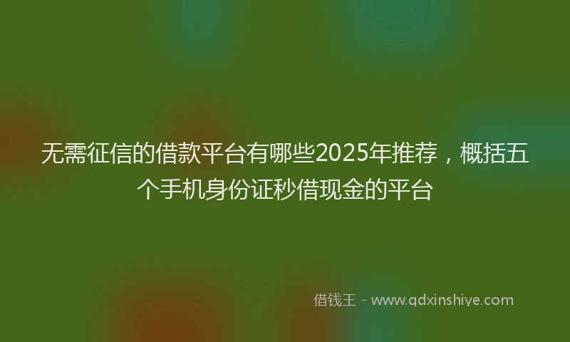 无需征信的借款平台有哪些2025年推荐，概括五个手机身份证秒借现金的平台