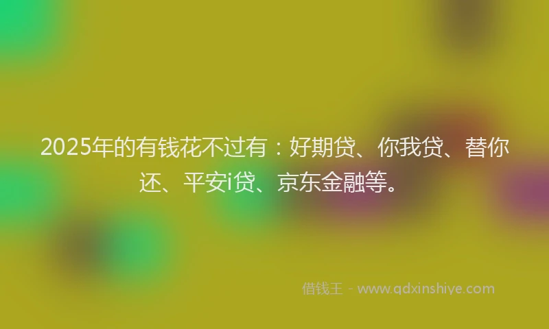 2025年的有钱花不过有：好期贷、你我贷、替你还、平安i贷、京东金融等。