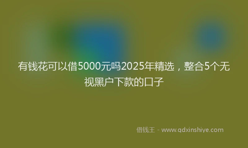 有钱花可以借5000元吗2025年精选，整合5个无视黑户下款的口子