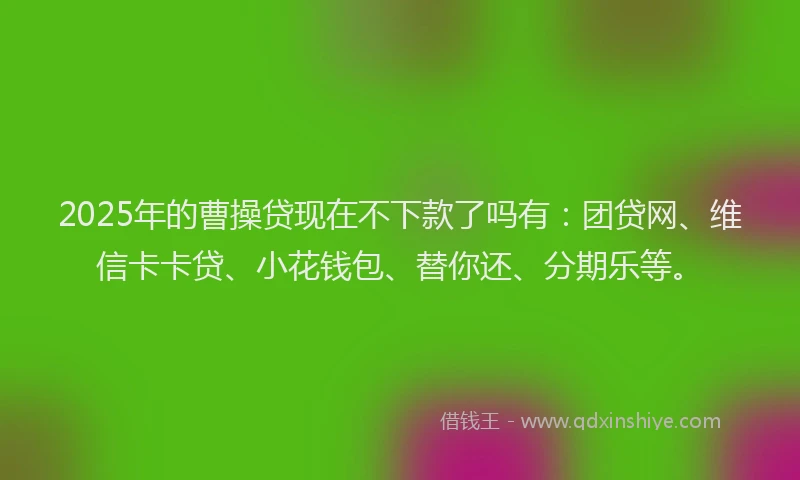 2025年的曹操贷现在不下款了吗有：团贷网、维信卡卡贷、小花钱包、替你还、分期乐等。