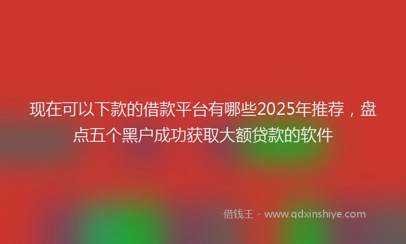 现在可以下款的借款平台有哪些2025年推荐，盘点五个黑户成功获取大额贷款的软件