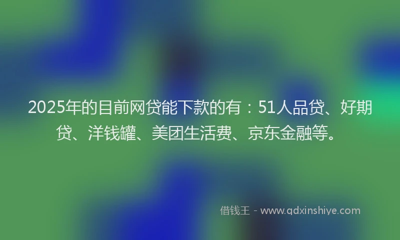 2025年的目前网贷能下款的有：51人品贷、好期贷、洋钱罐、美团生活费、京东金融等。