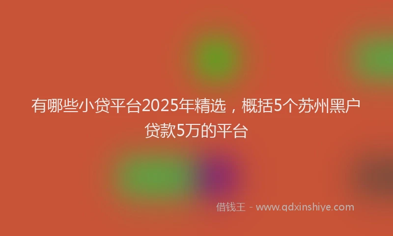 有哪些小贷平台2025年精选，概括5个苏州黑户贷款5万的平台