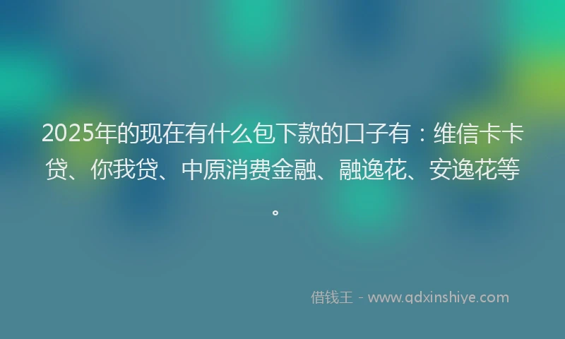 2025年的现在有什么包下款的口子有：维信卡卡贷、你我贷、中原消费金融、融逸花、安逸花等。